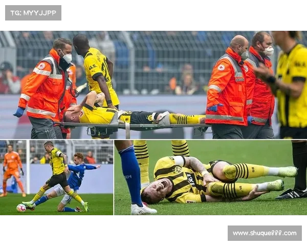 阿德耶米：我不后悔留队并致敬为多特效力12年的罗伊斯