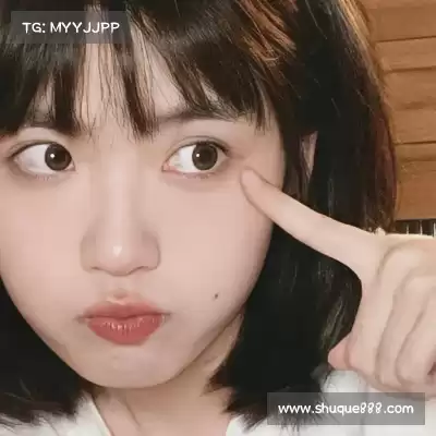 段俪剑